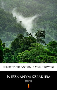 Nieznanym szlakiem - Ferdynand Antoni Ossendowski - E-Book