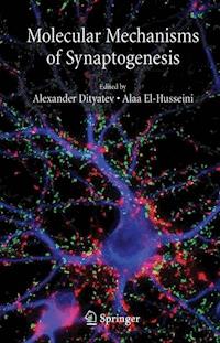 Molecular Mechanisms of Synaptogenesis - - E-Book