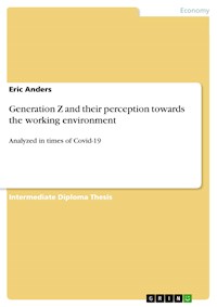 Generation Z and their perception towards the working environment - Eric Anders - E-Book