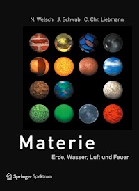 Materie - Norbert Welsch - E-Book