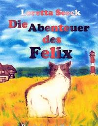 Die Abenteuer des Felix - Loretta Seeck - E-Book