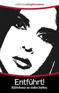 Entführt - Andine Steffens - E-Book