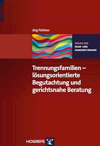 Trennungsfamilien – lösungsorientierte Begutachtung und gerichtsnahe Beratung - Jörg Fichtner - E-Book