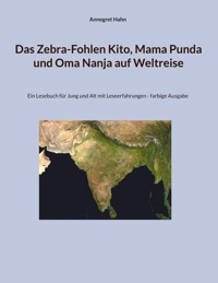 Das Zebra-Fohlen Kito, Mama Punda und Oma Nanja auf Weltreise - Annegret Hahn - E-Book