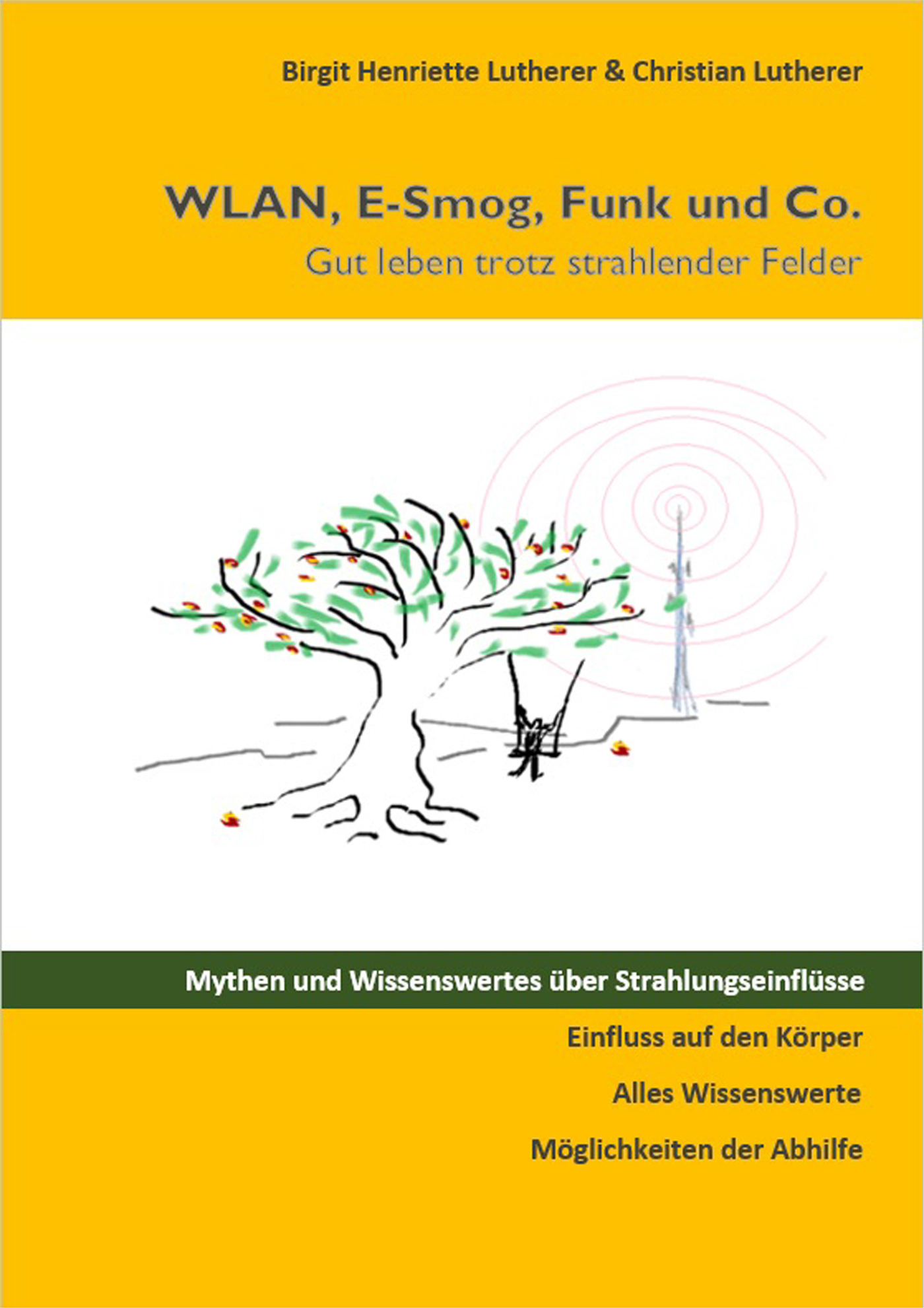 WLAN, E-Smog, Funk und Co. - Birgit Henriette Lutherer - E-Book