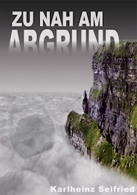 Zu nah am Abgrund - Karlheinz Seifried - E-Book