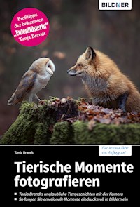 Tierische Momente fotografieren - Tanja Brandt - E-Book