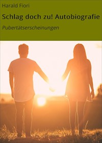 Schlag doch zu! Autobiografie - Harald Fiori - E-Book