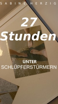 27 Stunden unter Schlüpferstürmern - Sabine Herzig - E-Book