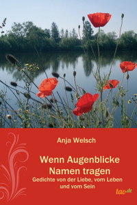 Wenn Augenblicke Namen tragen - Anja Welsch - E-Book