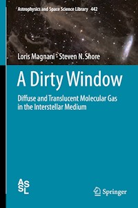 A Dirty Window - Loris Magnani - E-Book