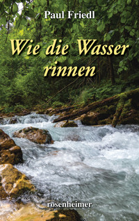 Wie die Wasser rinnen - Paul Friedl - E-Book