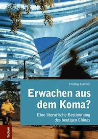 Erwachen aus dem Koma? Eine literarische Bestimmung des heutigen Chinas - Thomas Zimmer - E-Book