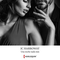 Una noche nada más - JC Harroway - Hörbuch