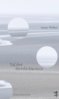 Tal der Herrlichkeiten - Anne Weber - E-Book