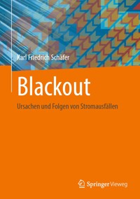 Blackout - Karl Friedrich Schäfer - E-Book