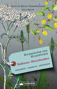 Wildkräuter und Wildfrüchte Bodensee Oberschwaben - Brigitte Walde-Frankenberger - E-Book