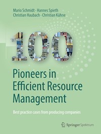 100 Pioneers in Efficient Resource Management - Mario Schmidt - E-Book