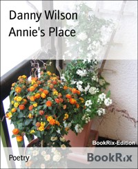 Annie's Place - Danny Wilson - E-Book