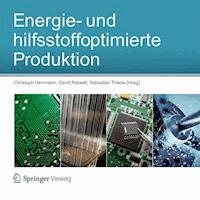 Energie- und hilfsstoffoptimierte Produktion - - E-Book