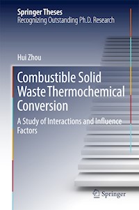 Combustible Solid Waste Thermochemical Conversion - Hui Zhou - E-Book