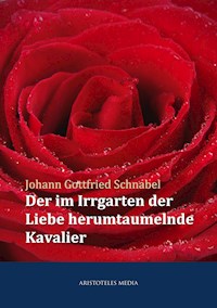 Der im Irrgarten der Liebe herumtaumelnde Kavalier - Johann Gottfried Schnabel - E-Book