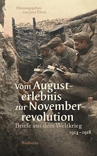 Vom Augusterlebnis zur Novemberrevolution -  - E-Book