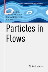 Particles in Flows -  - E-Book