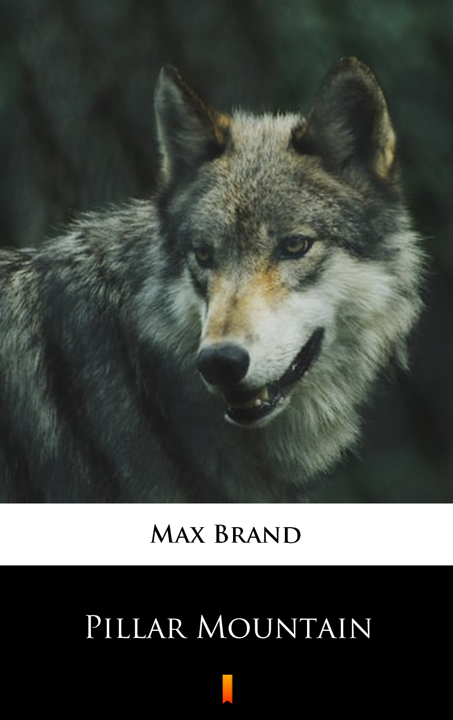 Pillar Mountain - Max Brand - E-Book