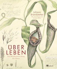 Über Leben - Johann Brandstetter - E-Book
