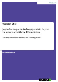 Jugenddelinquenz. Vollzugspraxis in Bayern vs. wissenschaftliche Erkenntnisse - Thorsten Übel - E-Book