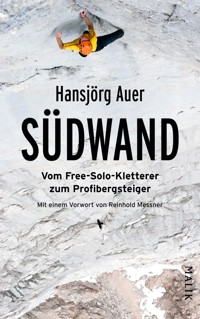 Südwand - Hansjörg Auer - E-Book