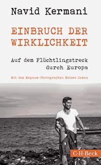 Einbruch der Wirklichkeit - Navid Kermani - E-Book