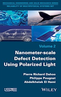 Nanometer-scale Defect Detection Using Polarized Light - Pierre-Richard Dahoo - E-Book