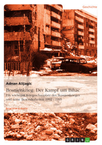 Bosnienkrieg: Der Kampf um Bihac - Adnan Alijagic - E-Book