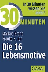 30 Minuten Die 16 Lebensmotive - Frauke Ion - E-Book