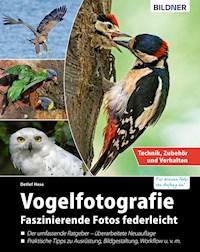 Vogelfotografie: Faszinierende Fotos federleicht - Detlef Hase - E-Book