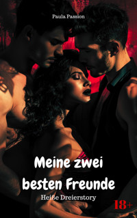 Meine zwei besten Freunde - Paula Passion - E-Book