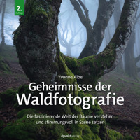 Geheimnisse der Waldfotografie - Yvonne Albe - E-Book