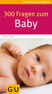 300 Fragen zum Baby - Birgit Laue - E-Book