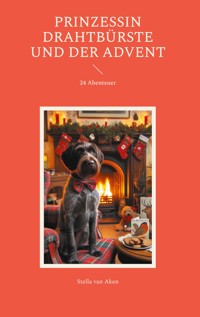 Prinzessin Drahtbürste und der Advent - Stella van Aken - E-Book