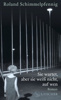 Sie wartet, aber sie weiß nicht, auf wen - Roland Schimmelpfennig  - E-Book