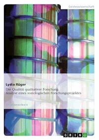 Die Qualität qualitativer Forschung. Analyse eines soziologischen Forschungsprojektes - Lydia Rüger - E-Book
