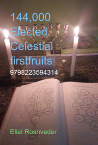 144,000 Elected Celestial Firstfruits - Eliel Roshveder - E-Book