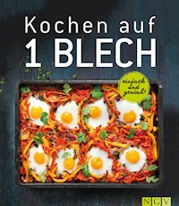 Kochen auf 1 Blech - Nina Engels - E-Book