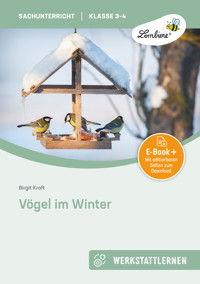 Vögel im Winter - Birgit Kraft - E-Book
