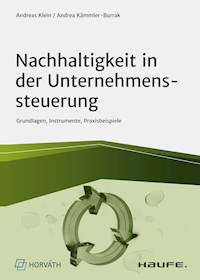 Nachhaltigkeit in der Unternehmenssteuerung - Andreas Klein - E-Book
