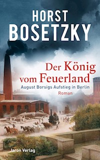 Der König vom Feuerland - Horst Bosetzky - E-Book
