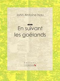 En suivant les goélands - John-Antoine Nau - E-Book