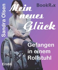 Mein neues Glück - Sandra Olsen - E-Book